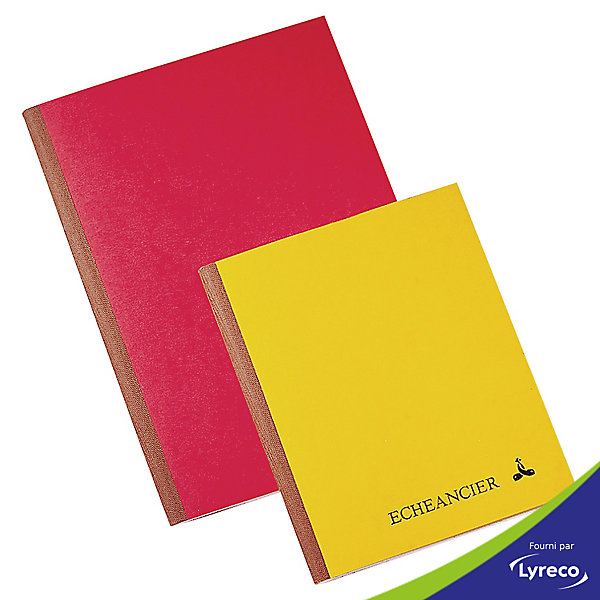 PIQURE ECHEANCIER LE DAUPHIN - 21 X 29,7 CM - 12 TOUCHES MENSUELLES - 96 PAGES 1 PIQURE ECHEANCIER LE DAUPHIN - 21 X 29,7 CM - 12 TOUCHES MENSUELLES - 96 PAGES