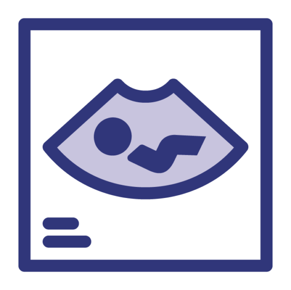 VIDI_PICTO_échographie_bleu_02 1 VIDI_PICTO_échographie_bleu_02