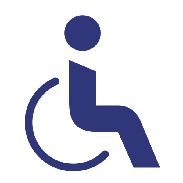 Vidi picto Acces PMR bleu