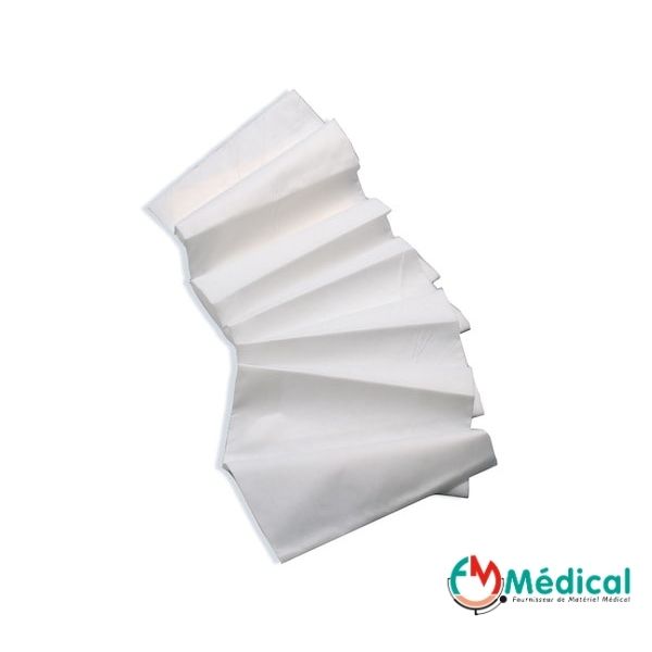 Drap de Transfert en PolyPropylène Blanc, épaisseur 70grs, 150x220cm à usage unique, carton de 50 1 Drap de Transfert en PolyPropylène Blanc, épaisseur 70grs, 150x220cm à usage unique, carton de 50